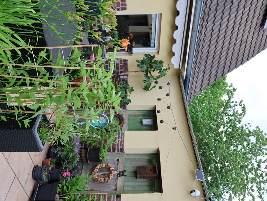 Grüner Garten mit Beeten und Terrasse